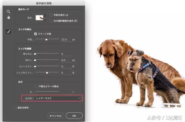 抠图全集大法