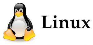 linux常用命令的英文单词缩写