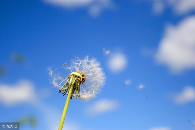 情商高的人与小人相处的6个技巧！不惹事、不吃亏，难怪越混越好