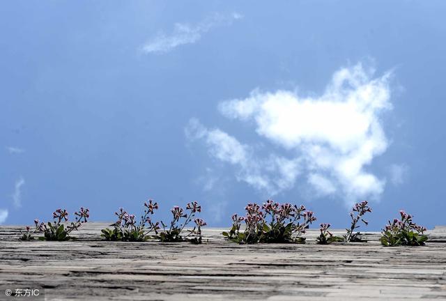 情商高的人与小人相处的6个技巧！不惹事、不吃亏，难怪越混越好