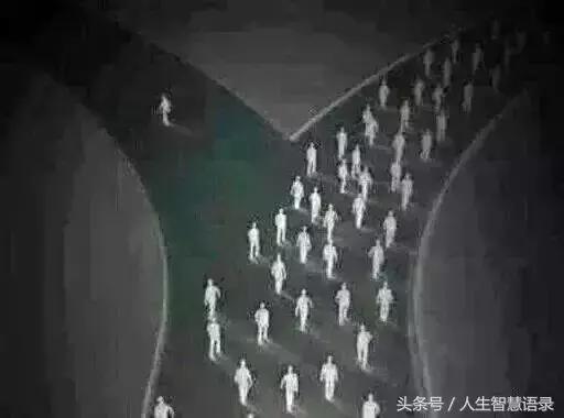 看完这30张漫画，我开始重新思考人生