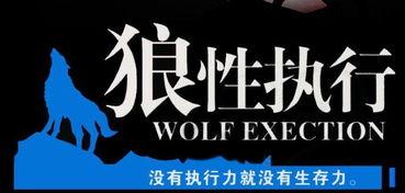 狼性执行力的1个中心、2个基本点、3个支柱、4项基本项原则