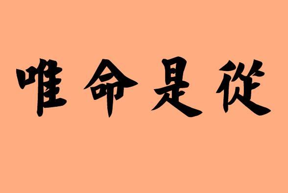 狼性执行力的1个中心、2个基本点、3个支柱、4项基本项原则