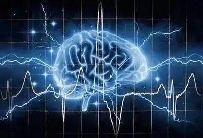 科学家发现：人脑或可在11个维度上运行