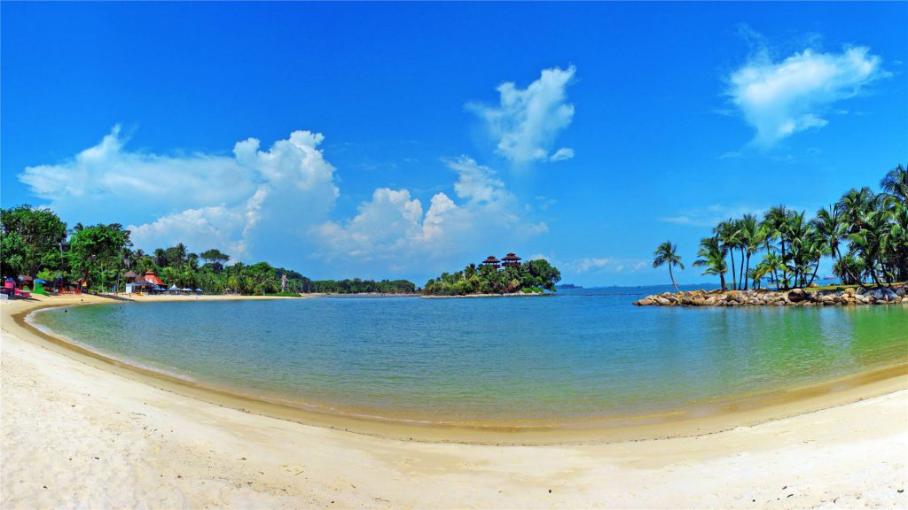绿树阴浓夏日长