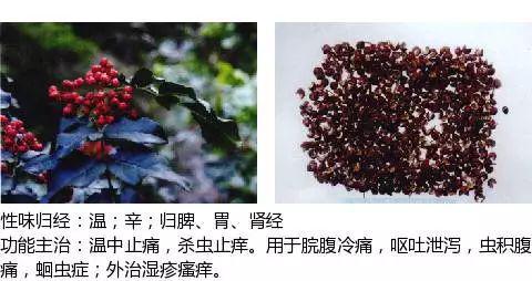 史上最全中药图鉴,500多种中草药及主治功效！（收藏）