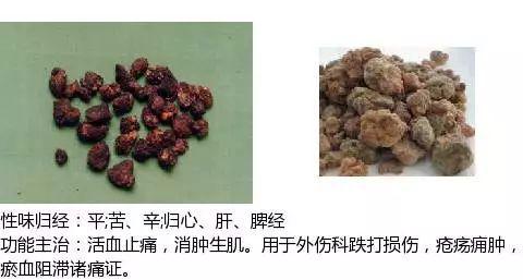 史上最全中药图鉴,500多种中草药及主治功效！（收藏）