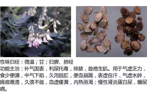 史上最全中药图鉴,500多种中草药及主治功效！（收藏）
